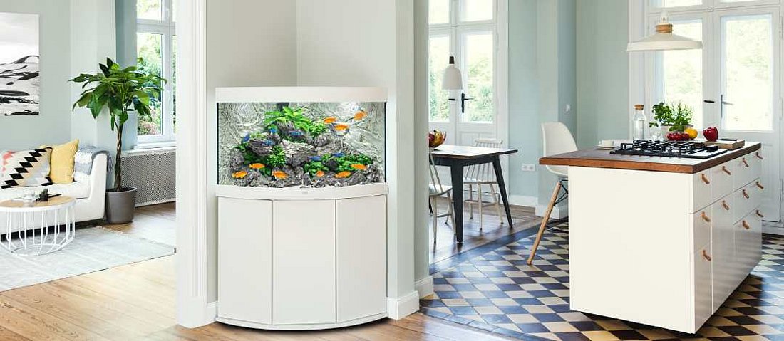 Weißes Aquarium im Wohnraum