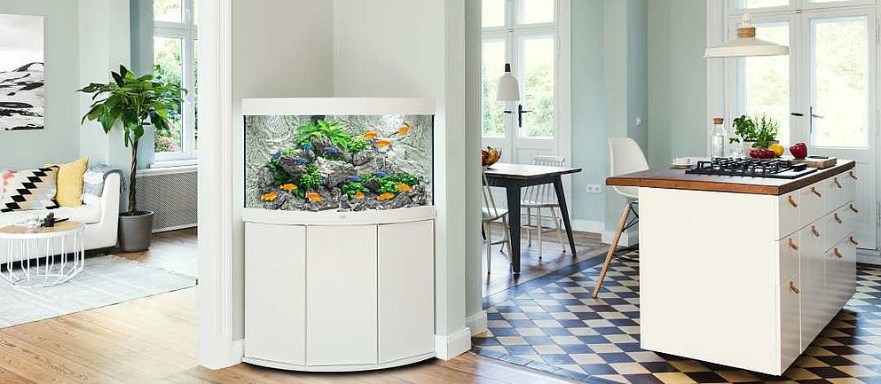Weißes Aquarium im Wohnraum