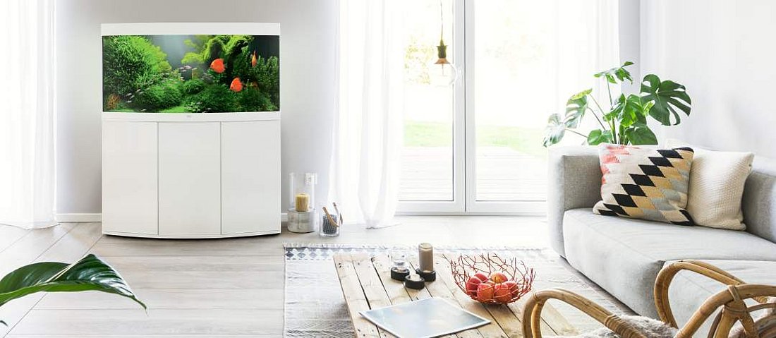 Weißes Aquarium steht im Wohnzimmer