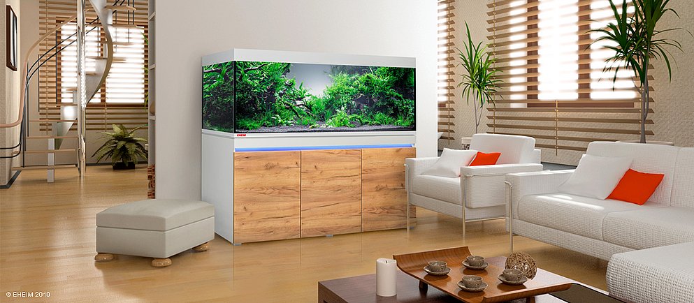 Aquarium steht im Wohnzimmer
