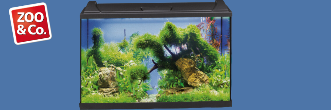 Aquarium