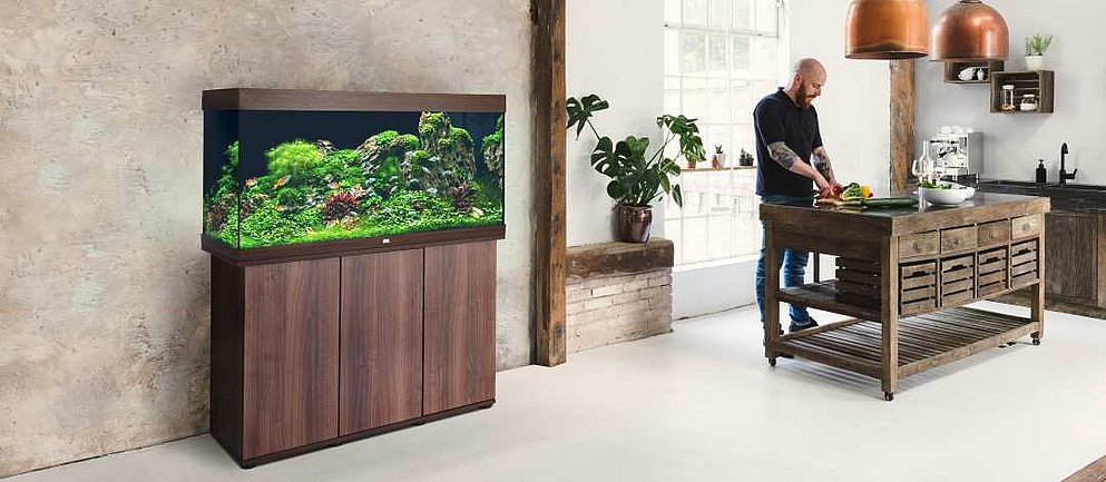 Braunes Aquarium steht an der Wand