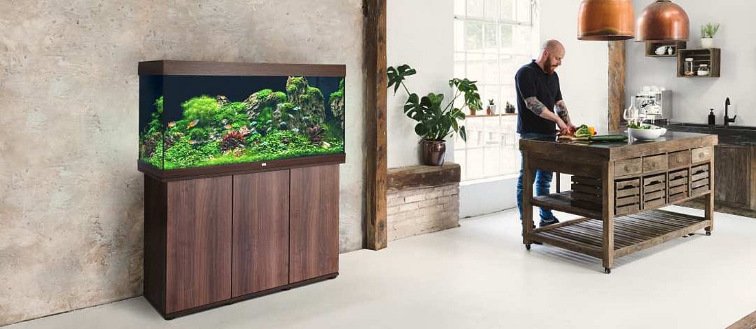 Braunes Aquarium steht an der Wand