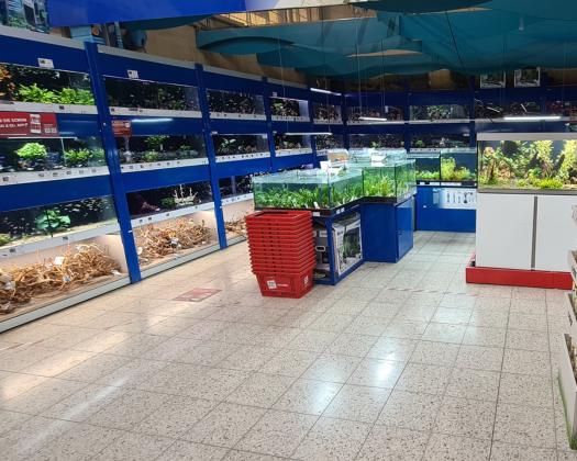 Aquaristik Abteilung im Laden