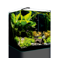 Nano Cube Basic 60 -  2022