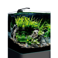 Nano Cube Basic 20 -  2022