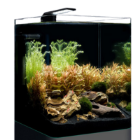 Nano Cube Basic 30 -  2022