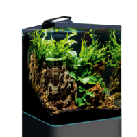 Nano Cube Basic 30 -  2022