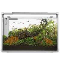 Superfish Home 110