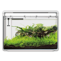 Superfish Home 65