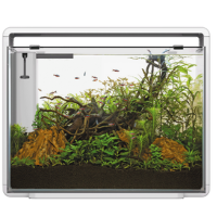 Superfish Home 85