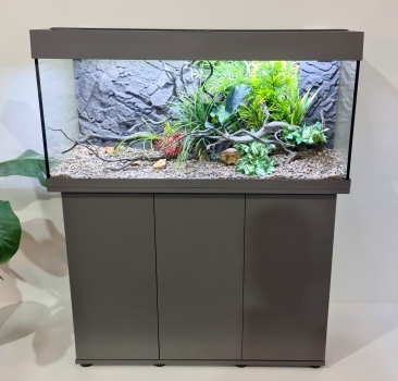 Braunes Aquarium