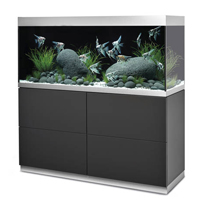 Schwarzes Aquarium