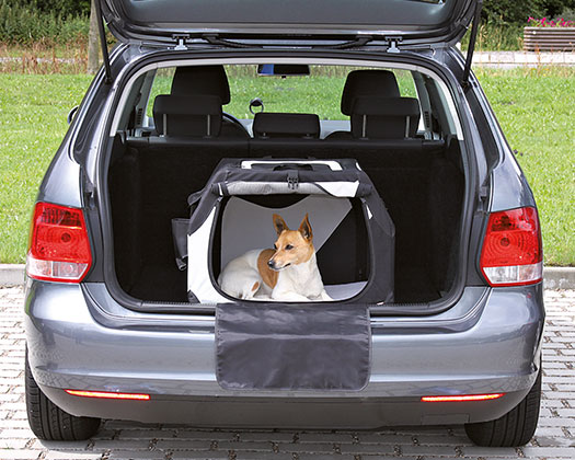 Hund im Auto sicher transportieren / Reisen mit Hund - Transportbox & Co.