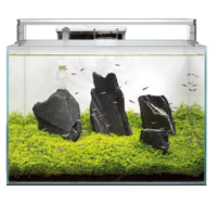 Scaper 60