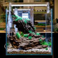 Scaper Cube 25