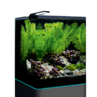 Nano Cube Complete 20 -  2022