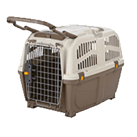 Transportbox Skudo 4 S-M