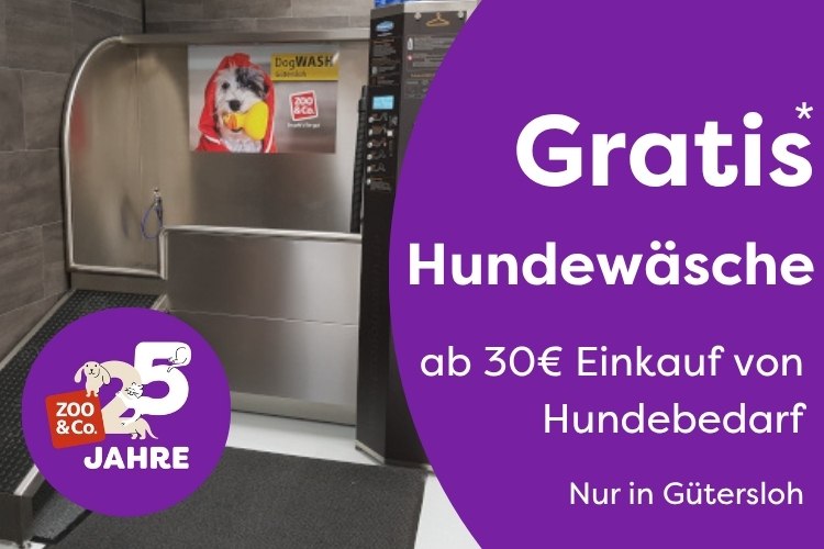 Gratis Hundewäsche ab 30€ in Gütersloh