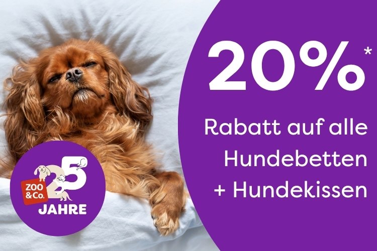 20% Rabatt auf Hundebetten und Kissen