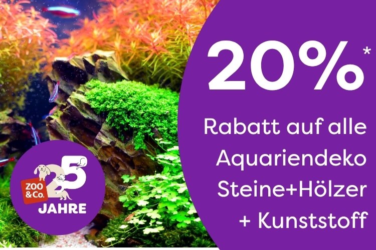 20% Rabatzt auf Aquariendeko