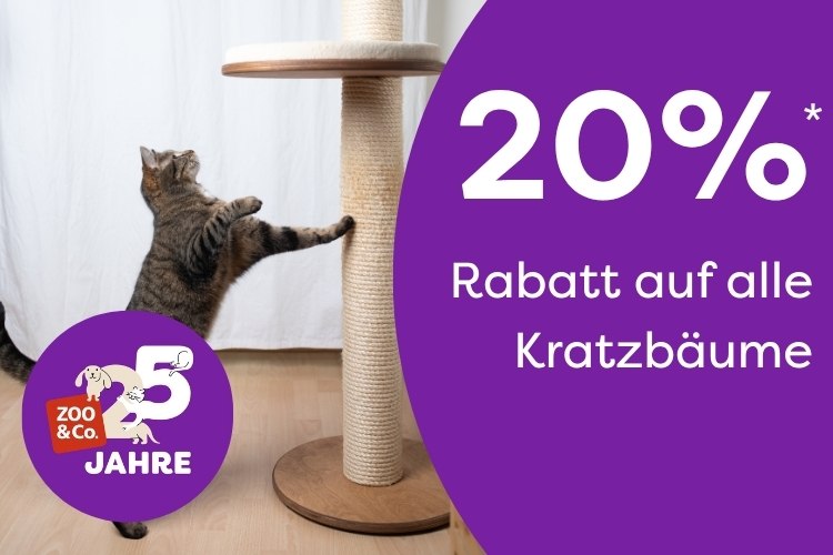 20% Auf Kratzbäume