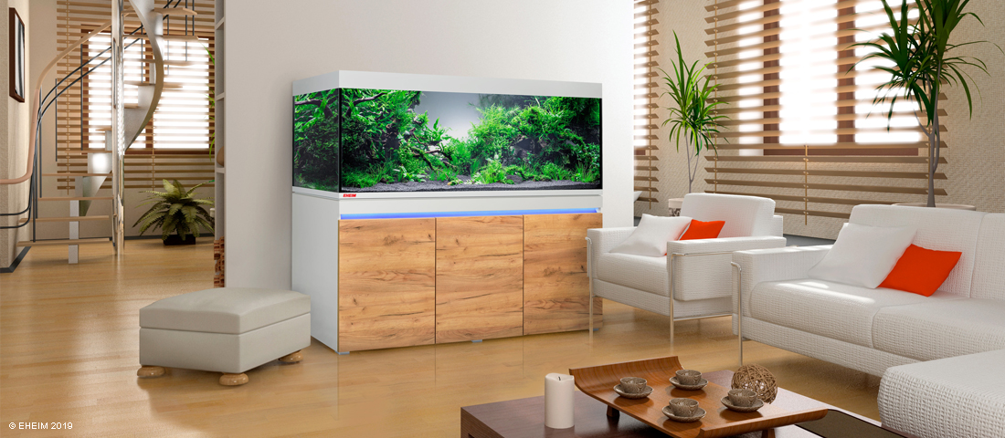 Aquarium steht im Wohnzimmer