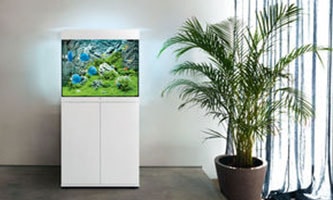 Juwel Lido Aquarium