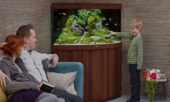Juwel Trigon Aquarium